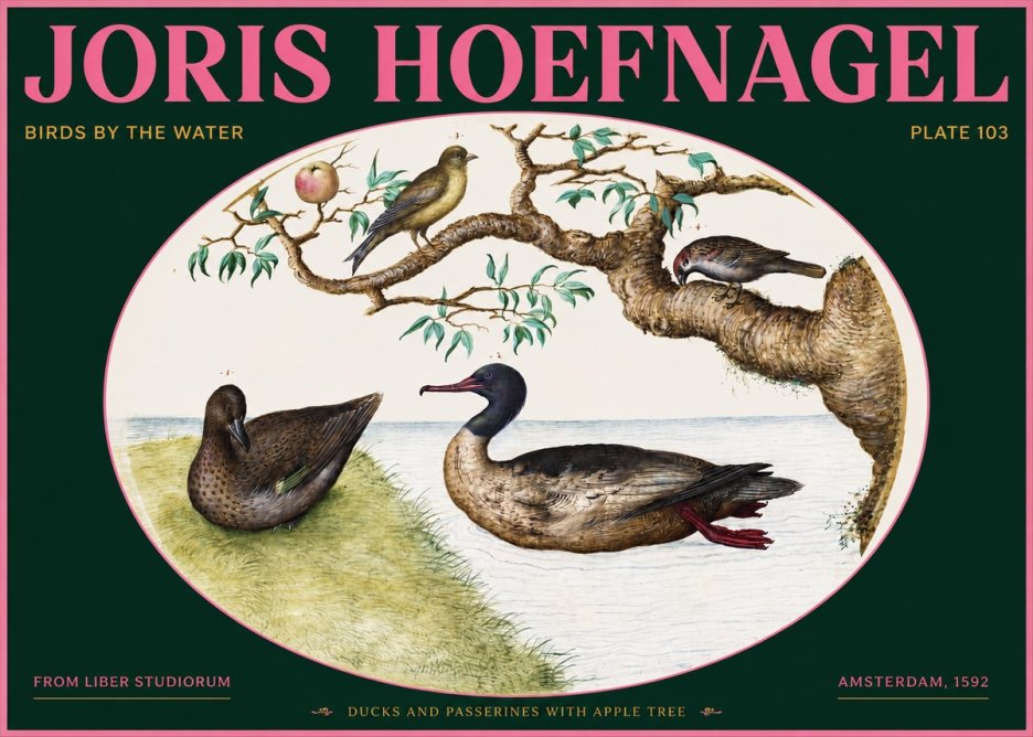 Joris Hoefnagel Ducks and Passerines with Apple Tree No2 - Plakat