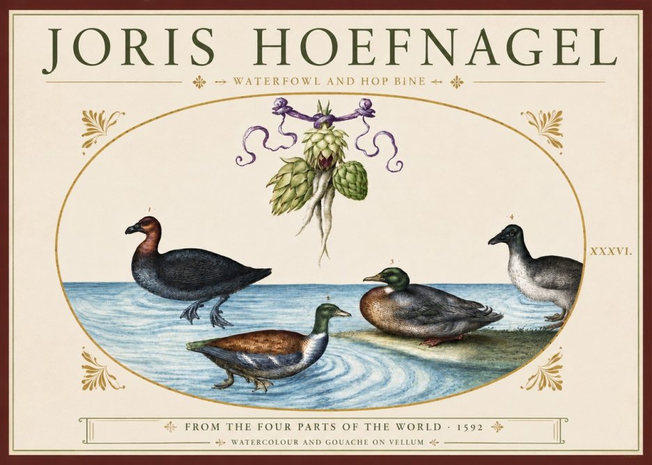 Joris Hoefnagel Waterfowl and Hop Bine No3 - Plakat