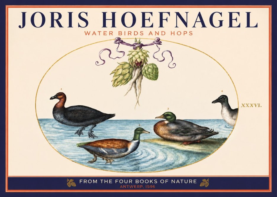 Joris Hoefnagel Waterfowl and Hop Bine No6 - Plakat