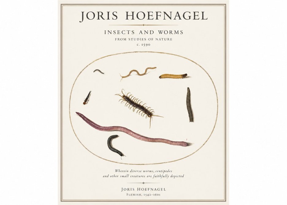 Joris Hoefnagel Creatures of the Earth II No5 - Plakat