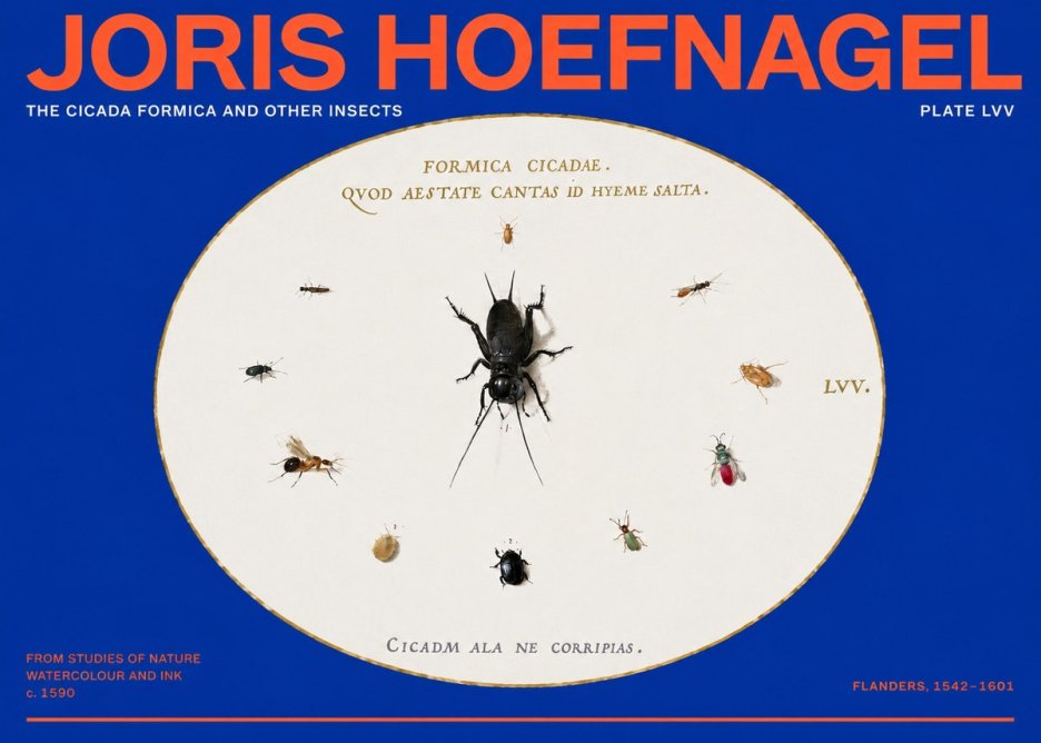 Joris Hoefnagel Formica Cicadae No6 - Plakat
