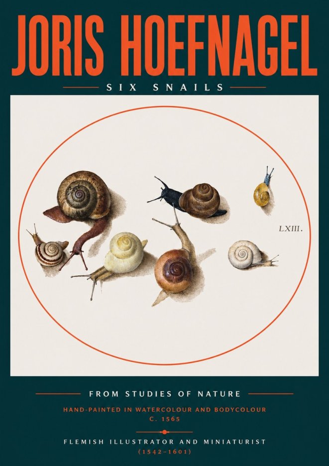 Joris Hoefnagel Six Snails No2 - Plakat