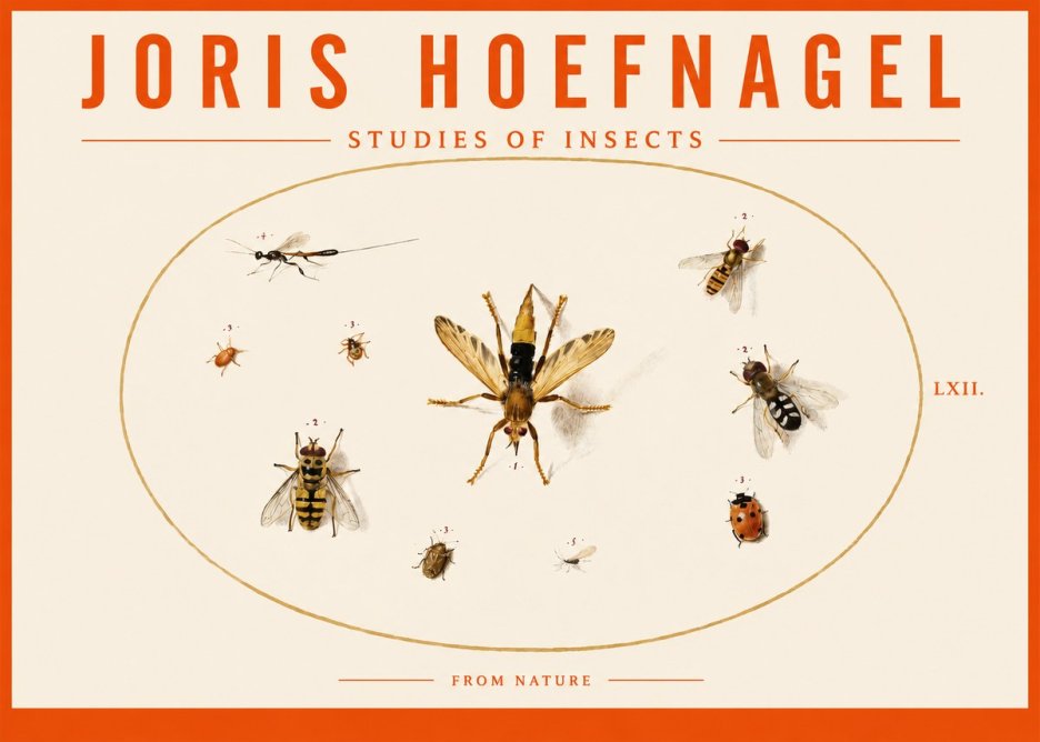 Joris Hoefnagel Studies of Insects IV No3 - Plakat