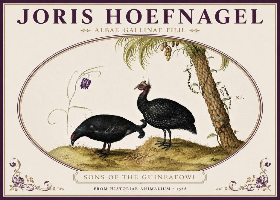 Joris Hoefnagel Albae Gallinae Filii. No4 - Plakat