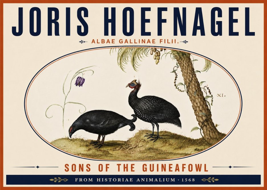 Joris Hoefnagel Albae Gallinae Filii. No6 - Plakat