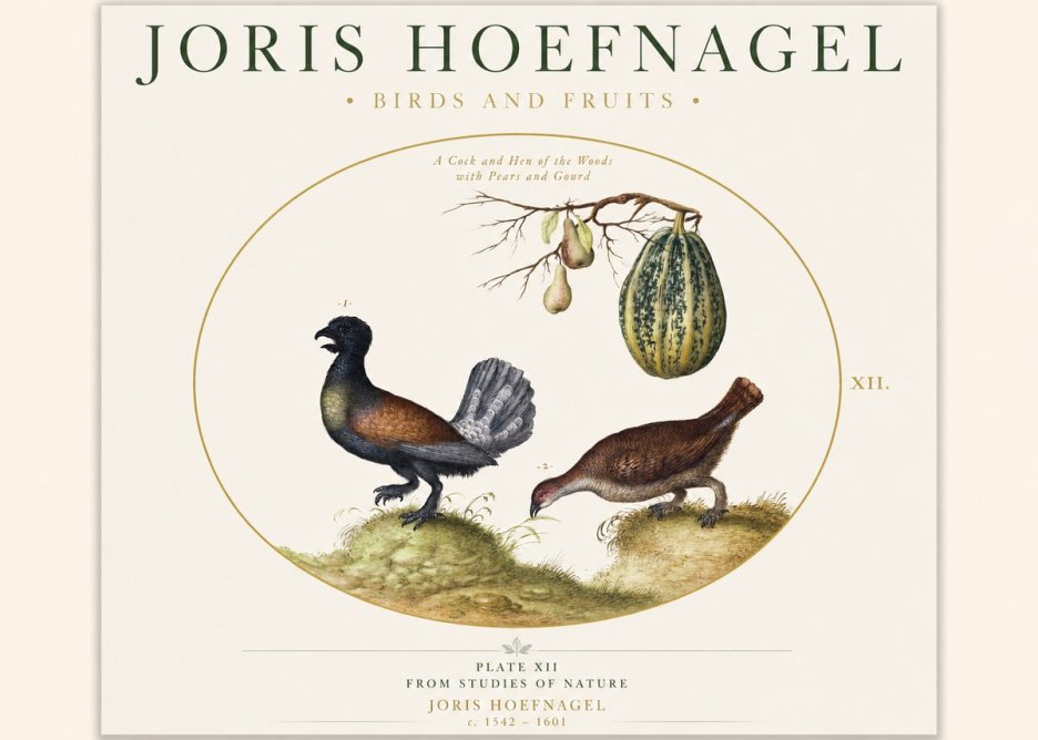 Joris Hoefnagel A Cock and Hen of the Woods with Pears and Gourd No1 - Plakat