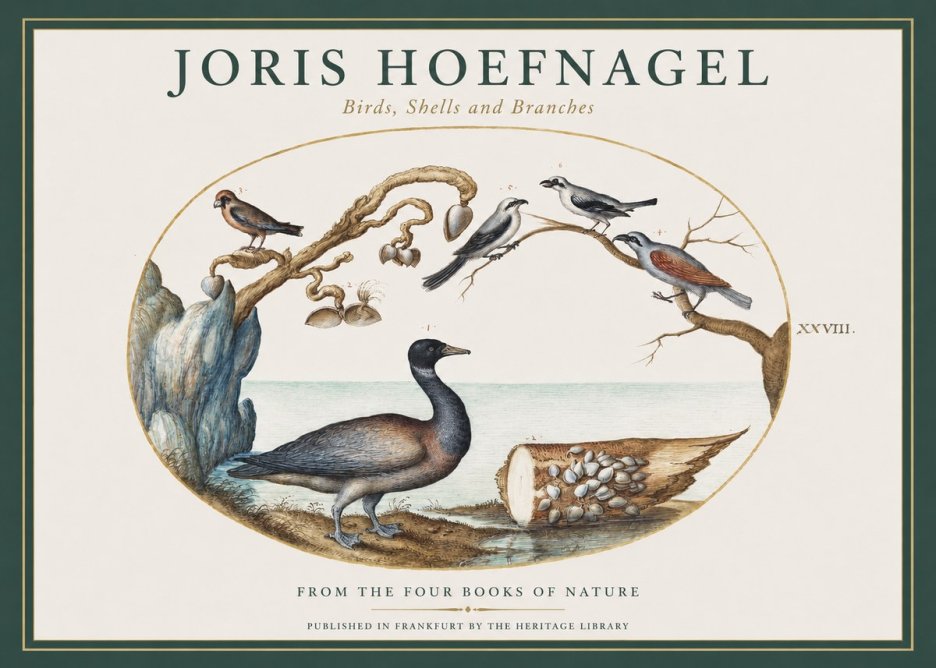 Joris Hoefnagel Birds, Shells and Branches No1 - Plakat