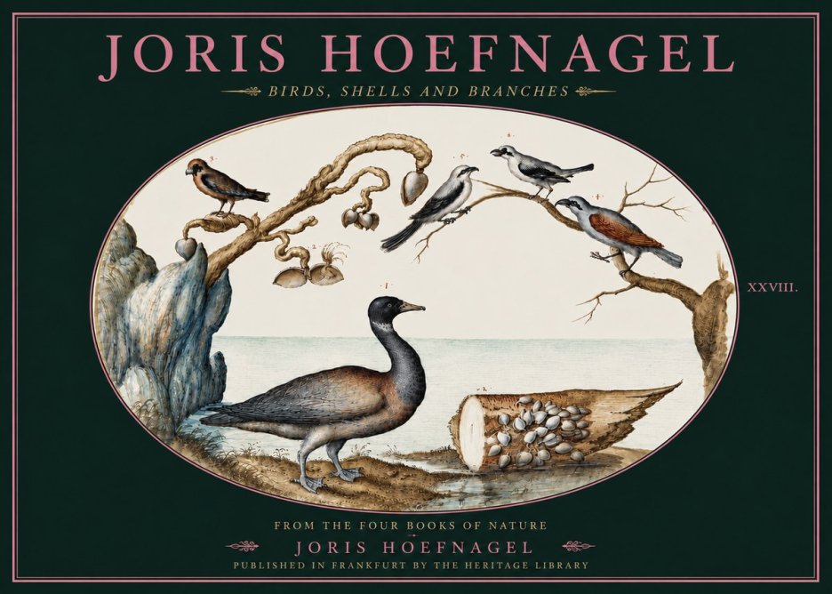 Joris Hoefnagel Birds, Shells and Branches No4 - Plakat