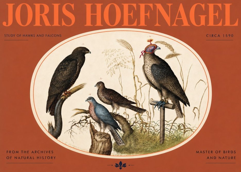 Joris Hoefnagel Studies of Hawks and Falcons No3 - Plakat