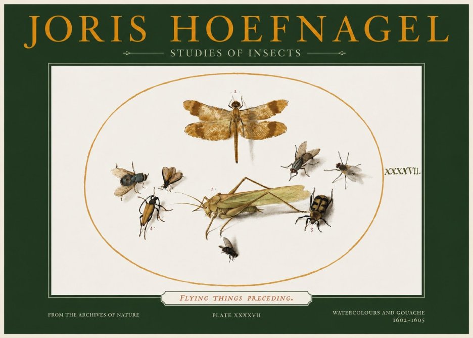 Joris Hoefnagel Flying Things Preceding. No2 - Plakat