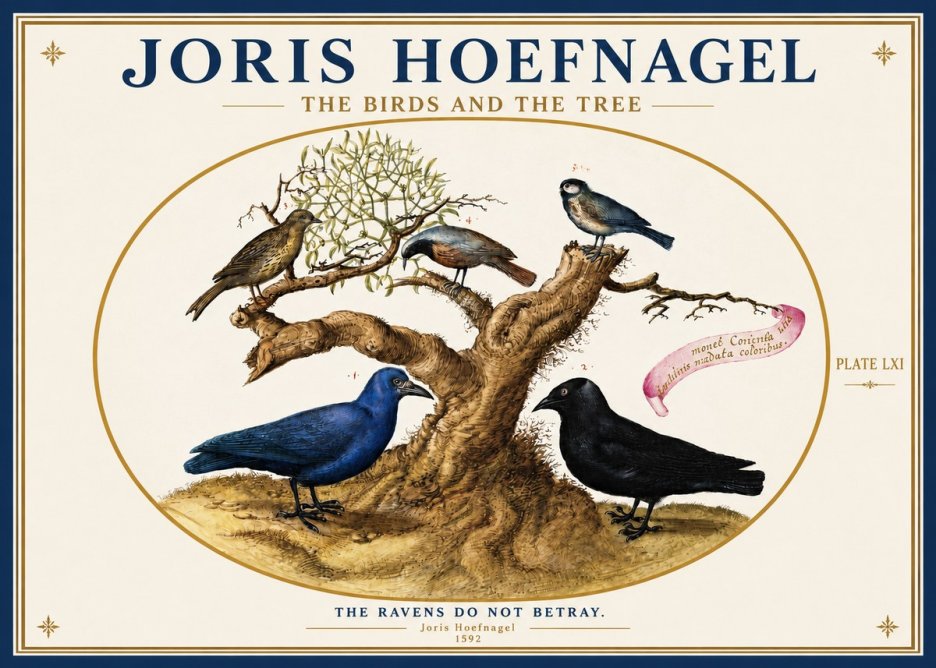 Joris Hoefnagel The Birds and the Tree No3 - Plakat