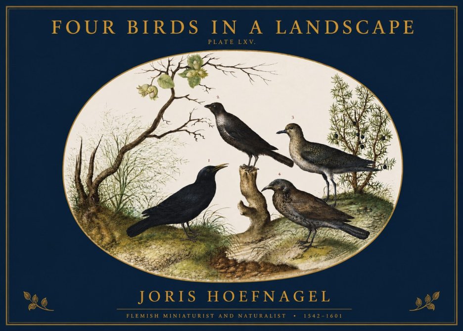 Joris Hoefnagel Four Birds in a Landscape No2 - Plakat