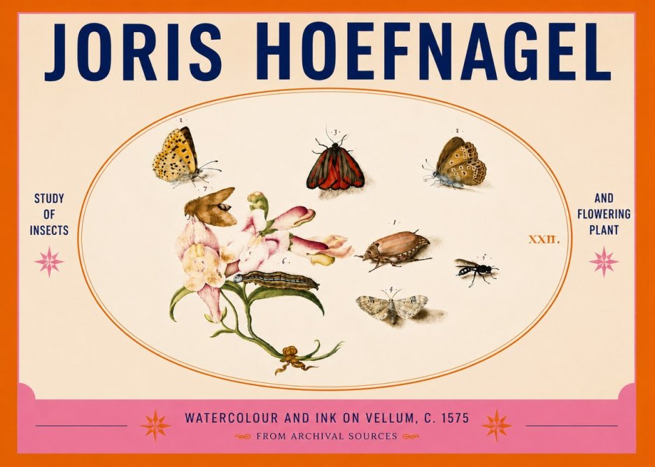 Joris Hoefnagel Study of Insects and Flowering Plant No5 - Plakat