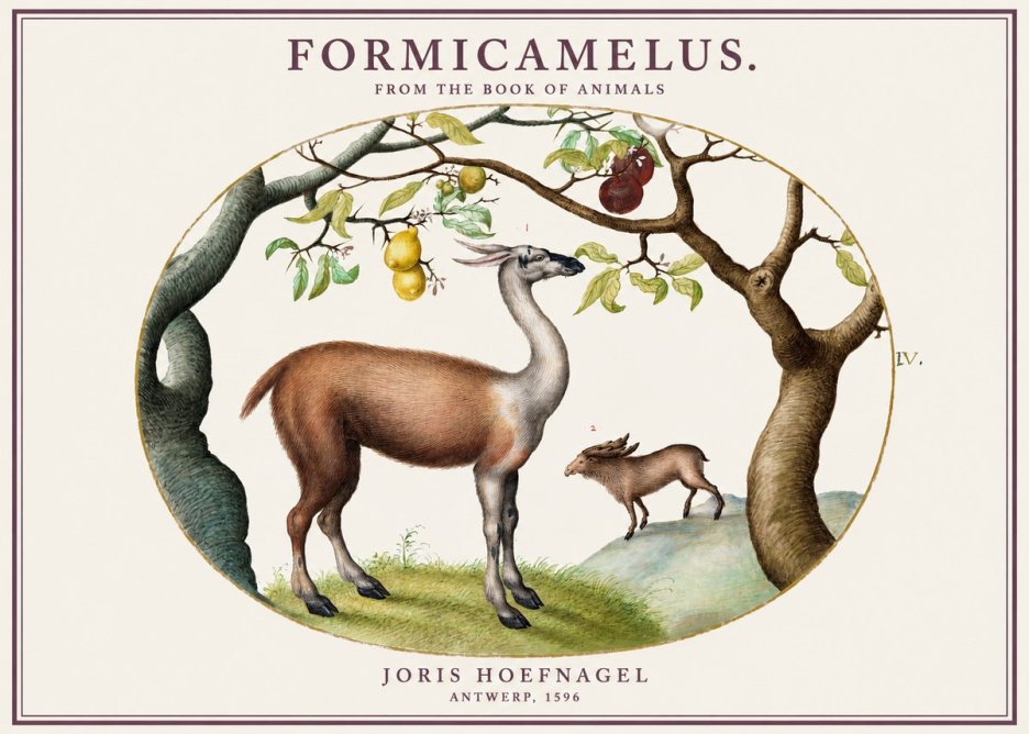 Joris Hoefnagel Formicamelus. No1 - Plakat