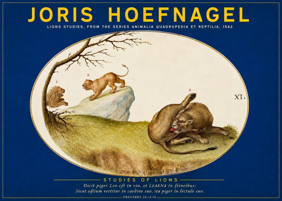 Joris Hoefnagel Lions Studies No2 - Plakat