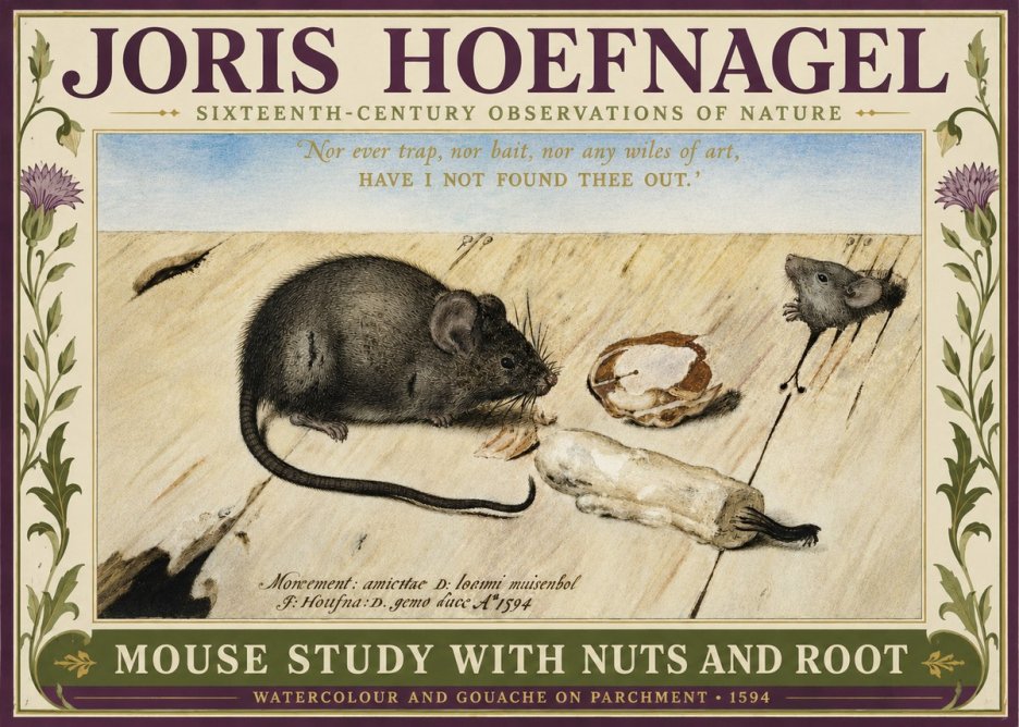 Joris Hoefnagel Mouse Study with Nuts and Root No3 - Plakat