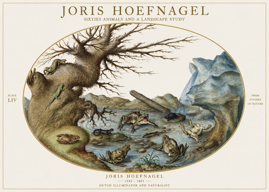 Joris Hoefnagel Sixtties Animals and a Landscape Study No1 - Plakat