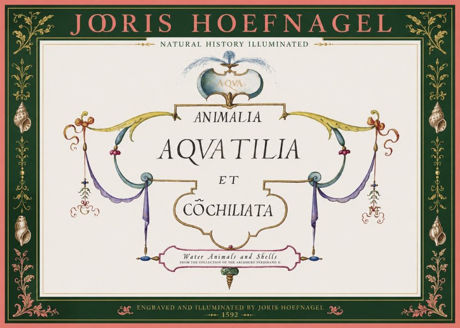Joris Hoefnagel Animalia Aquatilia Et Cochiliata No2 - Plakat
