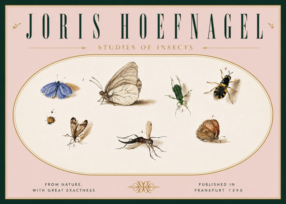 Joris Hoefnagel Studies of Insects V No6 - Plakat