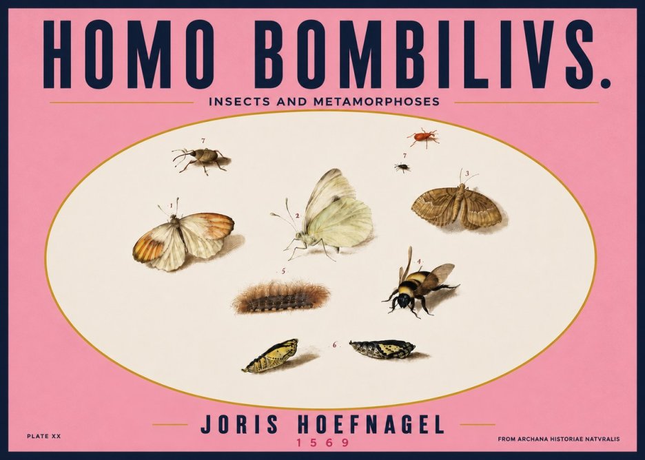 Joris Hoefnagel Homo Bombilivs. Insecta Et Metamorphoses No4 - Plakat