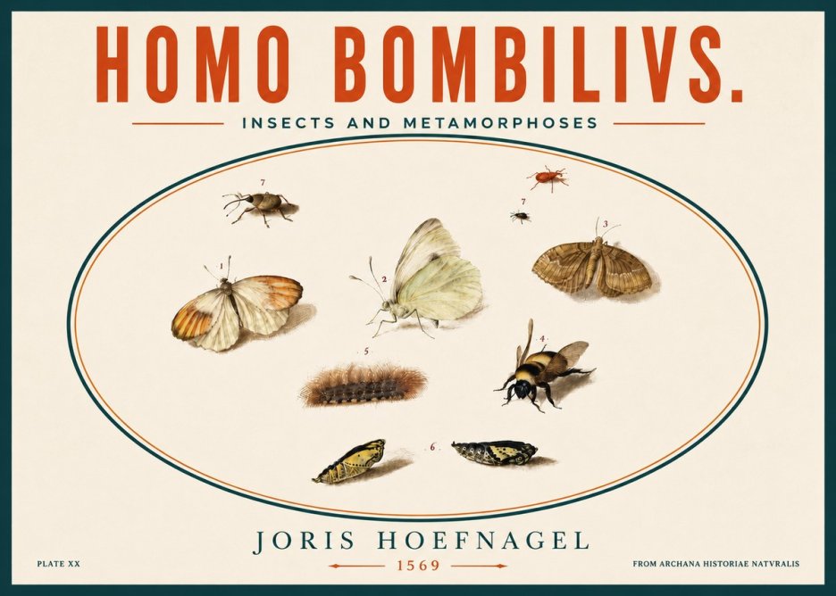 Joris Hoefnagel Homo Bombilivs. Insecta Et Metamorphoses No5 - Plakat