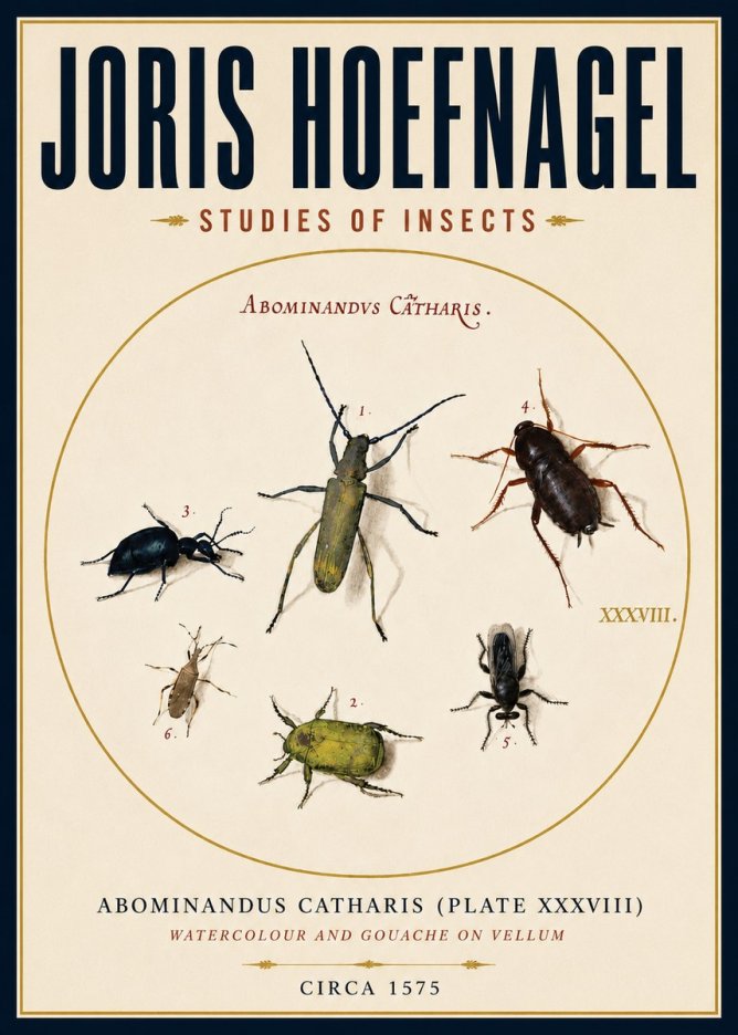 Joris Hoefnagel Abominandus Catharis (Plate Xxxviii) No4 - Plakat