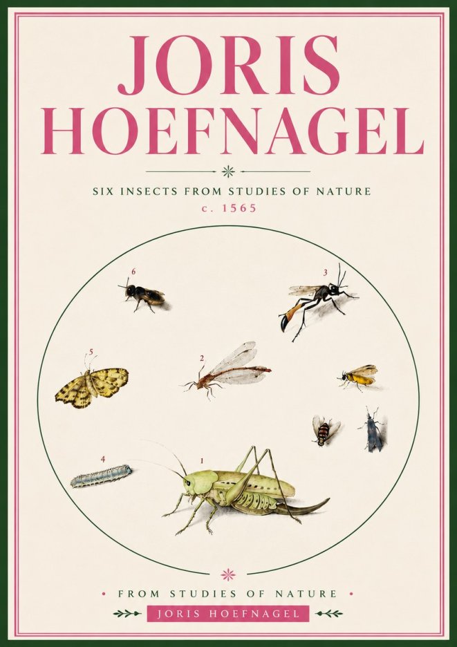 Joris Hoefnagel Six Insects from Studies of Nature C. 1565 No5 - Plakat