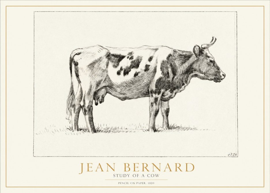 Jean Bernard Study of a Cow XX No2 - Plakat