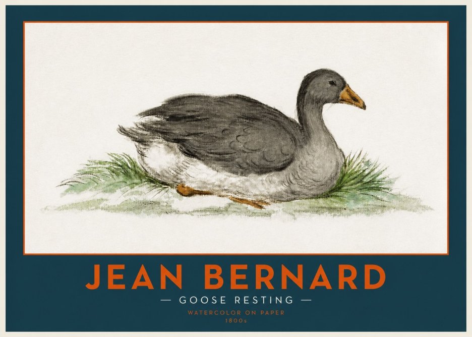 Jean Bernard Goose Resting No2 - Plakat