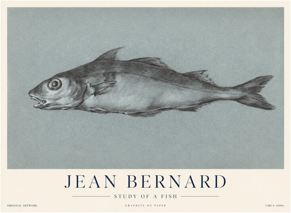 Jean Bernard Fish Study I No4 - Plakat