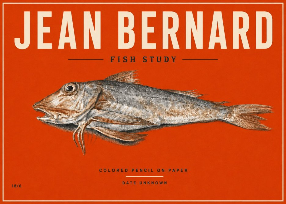 Jean Bernard Fish Study II No5 - Plakat