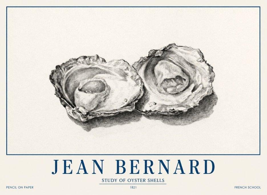 Jean Bernard Study of Oyster Shells No1 - Plakat