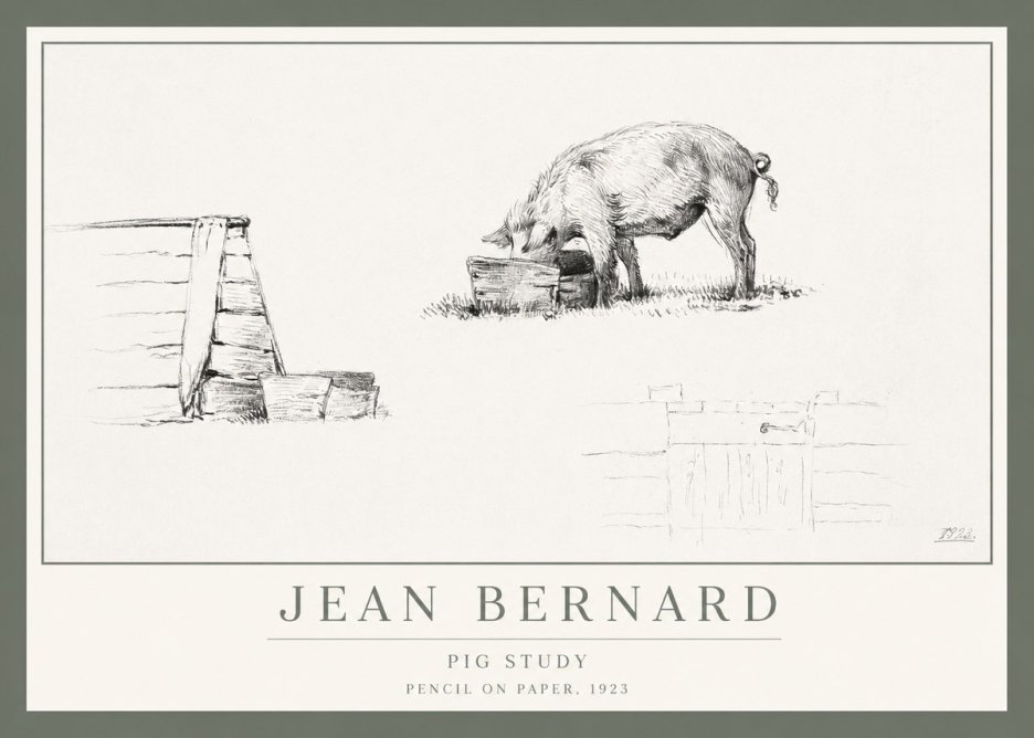 Jean Bernard Pig Study No1 - Plakat