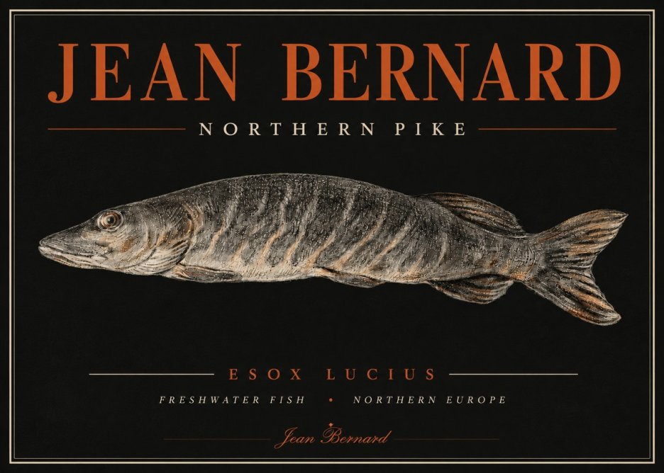 Jean Bernard Australian Lungfish No6 - Plakat