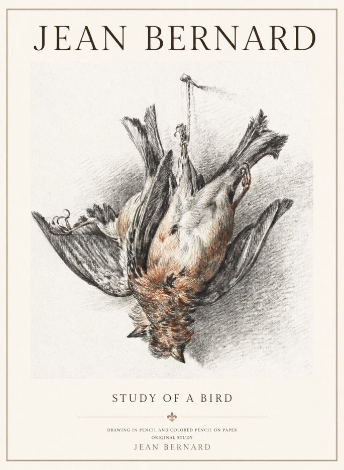 Jean Bernard Study of a Bird IV No3 - Plakat