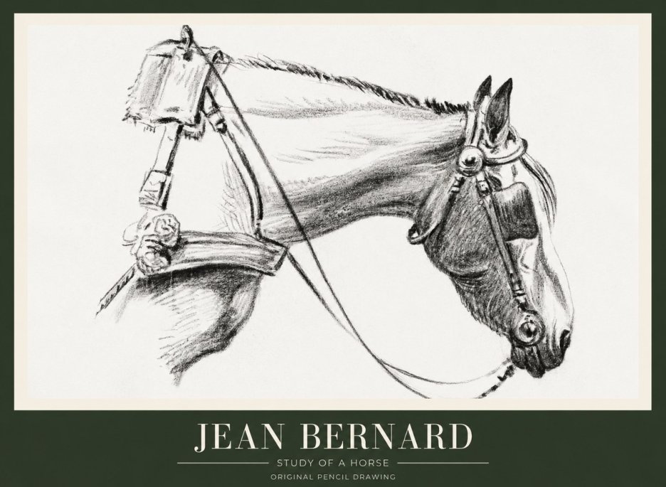 Jean Bernard Study of a Horse XVIII No1 - Plakat