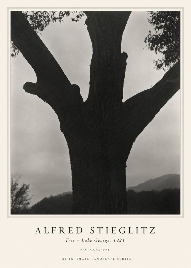 Alfred Stieglitz Tree - Lake George, 1921 No1 - Plakat
