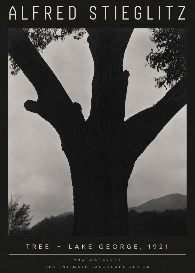 Alfred Stieglitz Tree - Lake George, 1921 No4 - Plakat