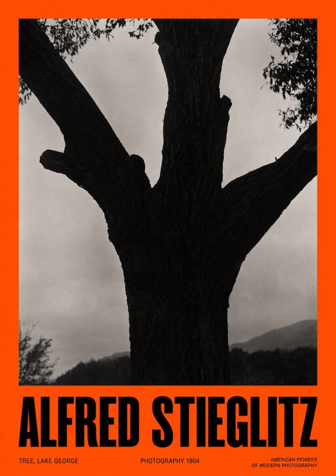 Alfred Stieglitz Tree - Lake George, 1921 No6 - Plakat