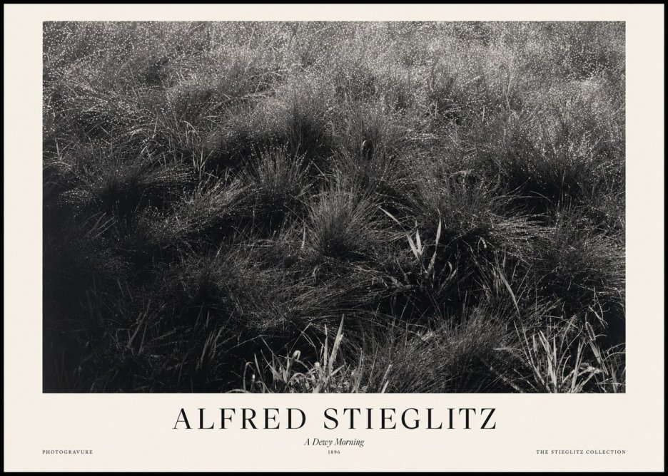 Alfred Stieglitz A Dewy Morning No1 - Plakat