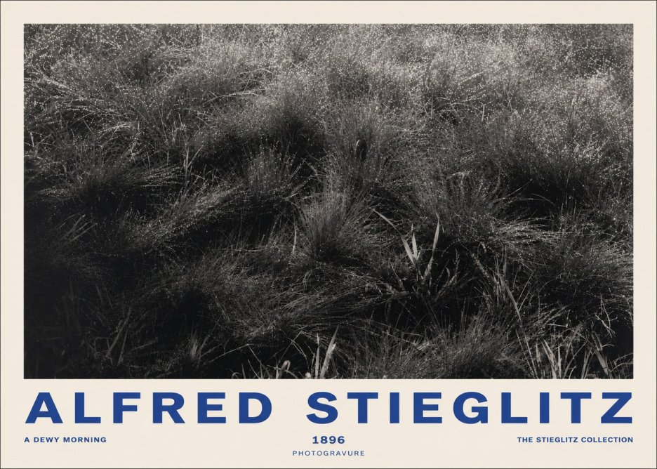 Alfred Stieglitz A Dewy Morning No2 - Plakat