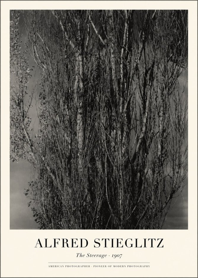 Alfred Stieglitz The Steerage II No1 - Plakat