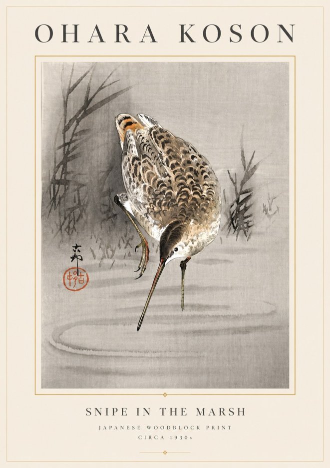 Ohara Koson Snipe in the Marsh No6 - Plakat