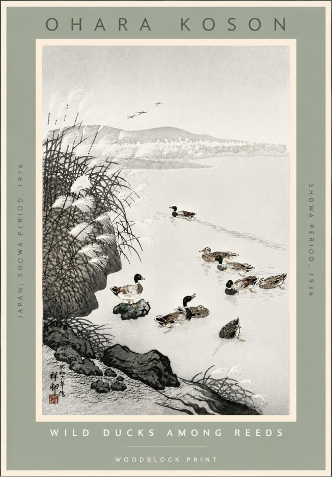 Ohara Koson Wild Ducks Among Reeds No4 - Plakat