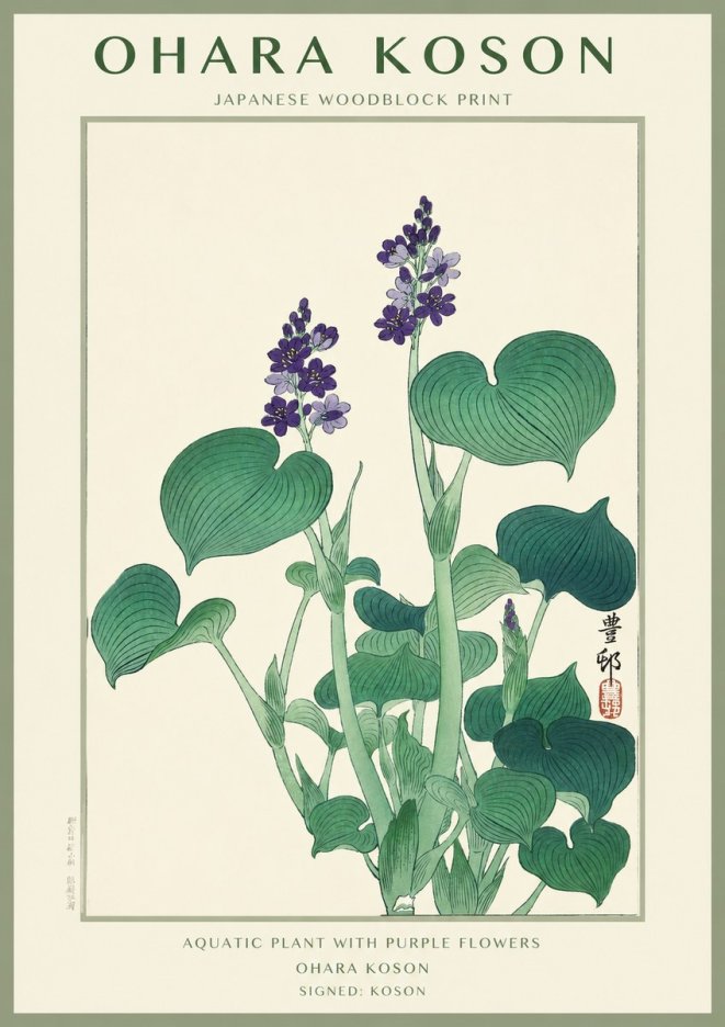 Ohara Koson Aquatic Plant with Purple Flowers No1 - Plakat