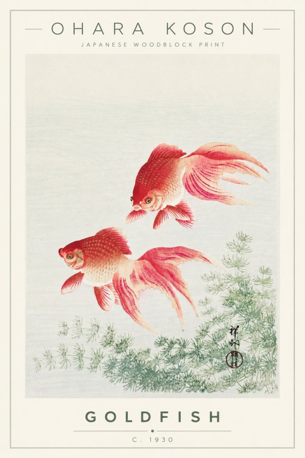 Ohara Koson Goldfish No4 - Plakat