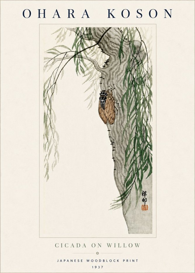 Ohara Koson Cicada on Willow No5 - Plakat