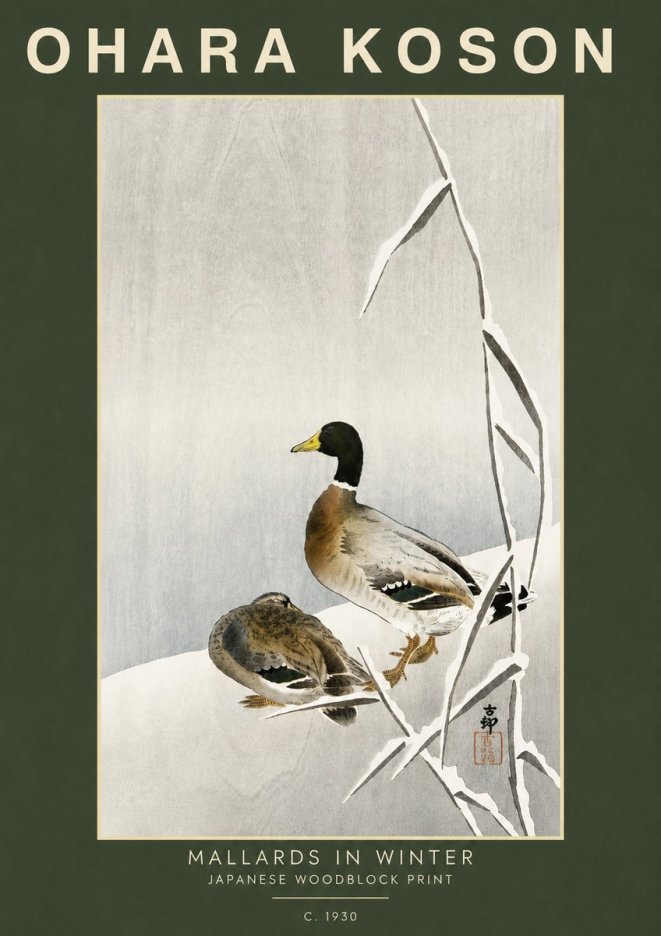 Ohara Koson Mallards in Winter No5 - Plakat