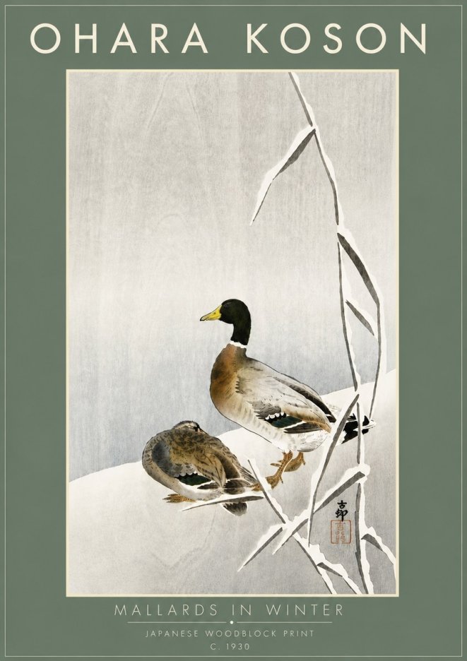 Ohara Koson Mallards in Winter No6 - Plakat