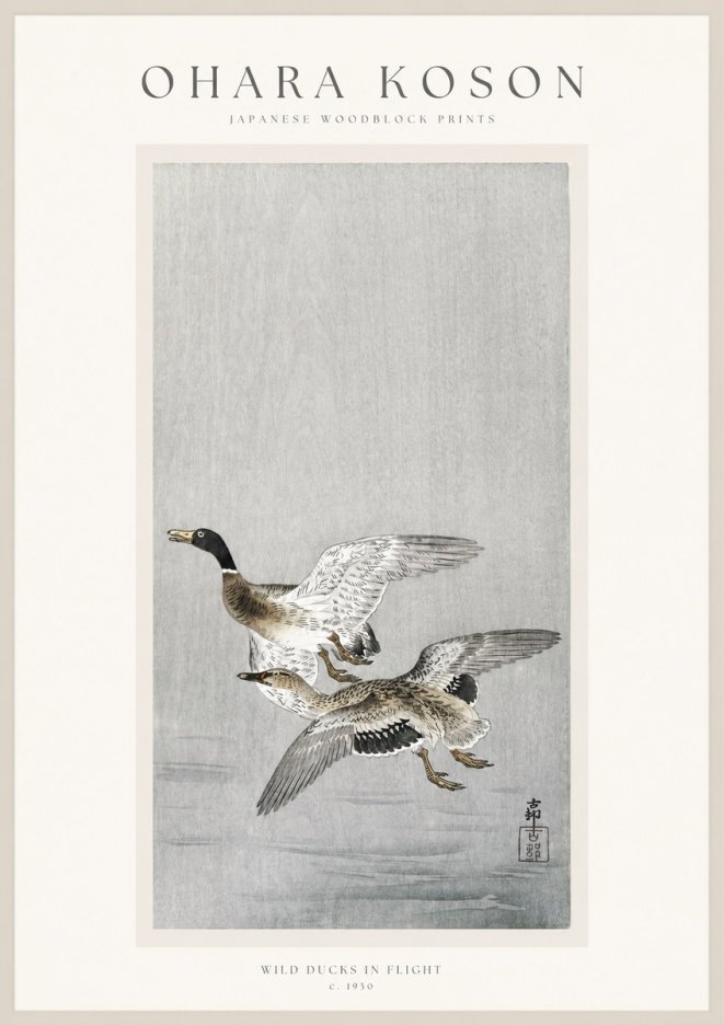 Ohara Koson Wild Ducks in Flight No1 - Plakat